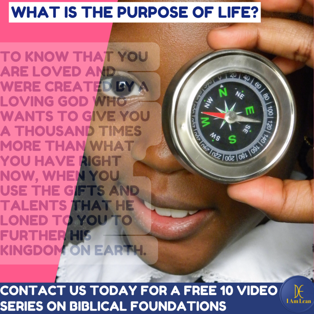 What Is The Purpose of Life?